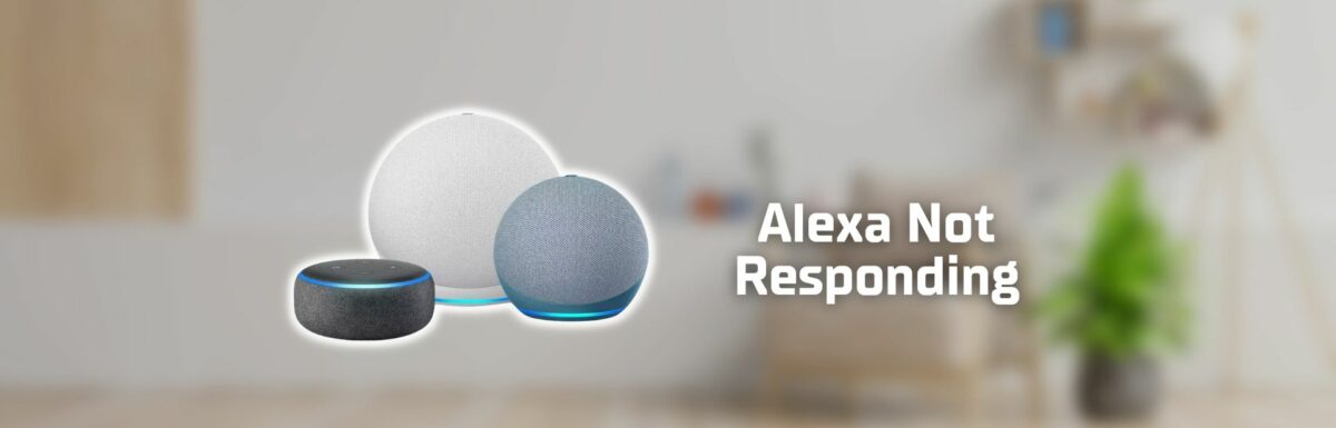 Alexa not responding featured image